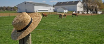 Amish Farm Hat