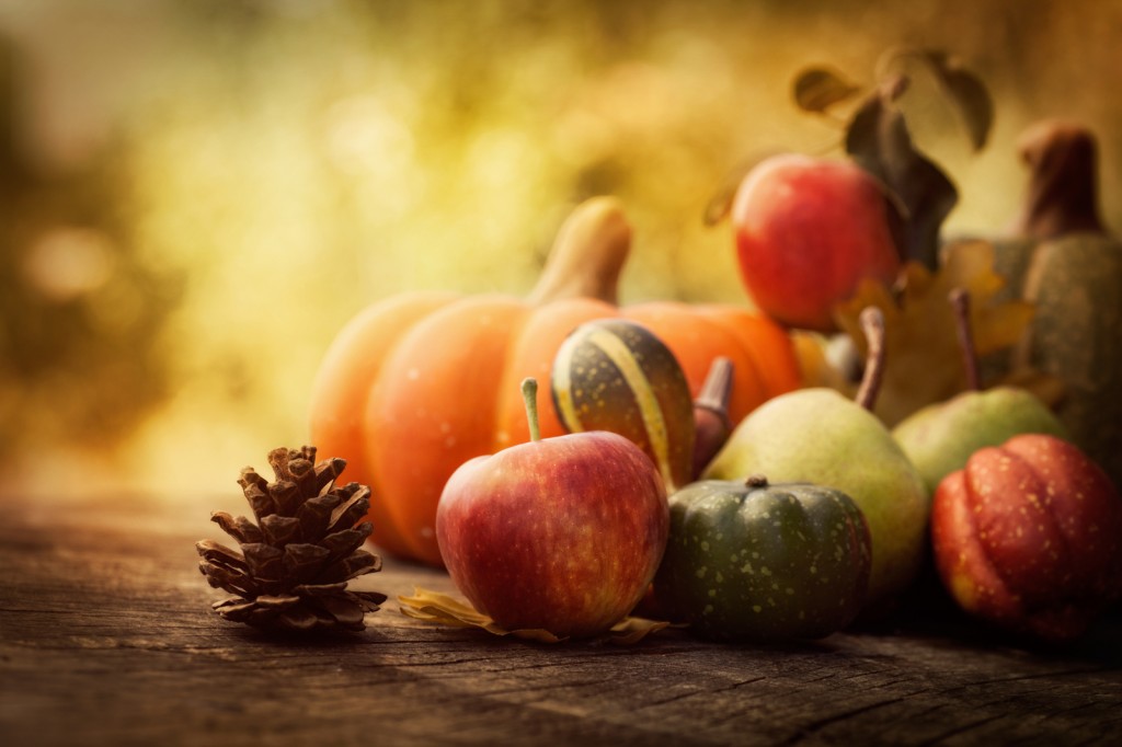 Autumn Fruit/Gourds