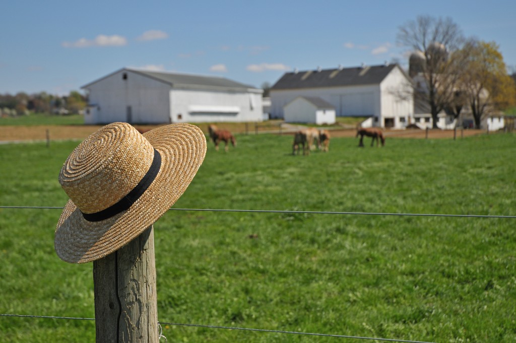 Amish Farm Hat